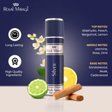 ROYAL MIRAGE BODY SPRAY 200ML SILVER - Image 2